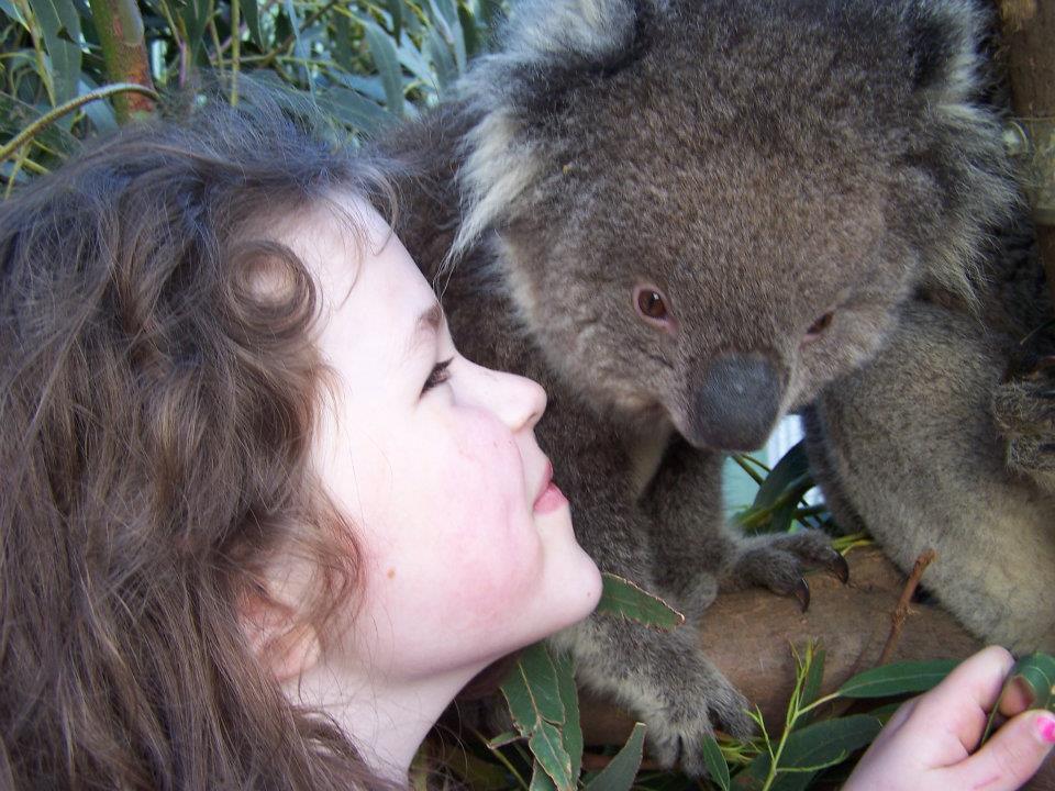 Fauna Australia Wildlife Retreat Lavers Hill 외부 사진