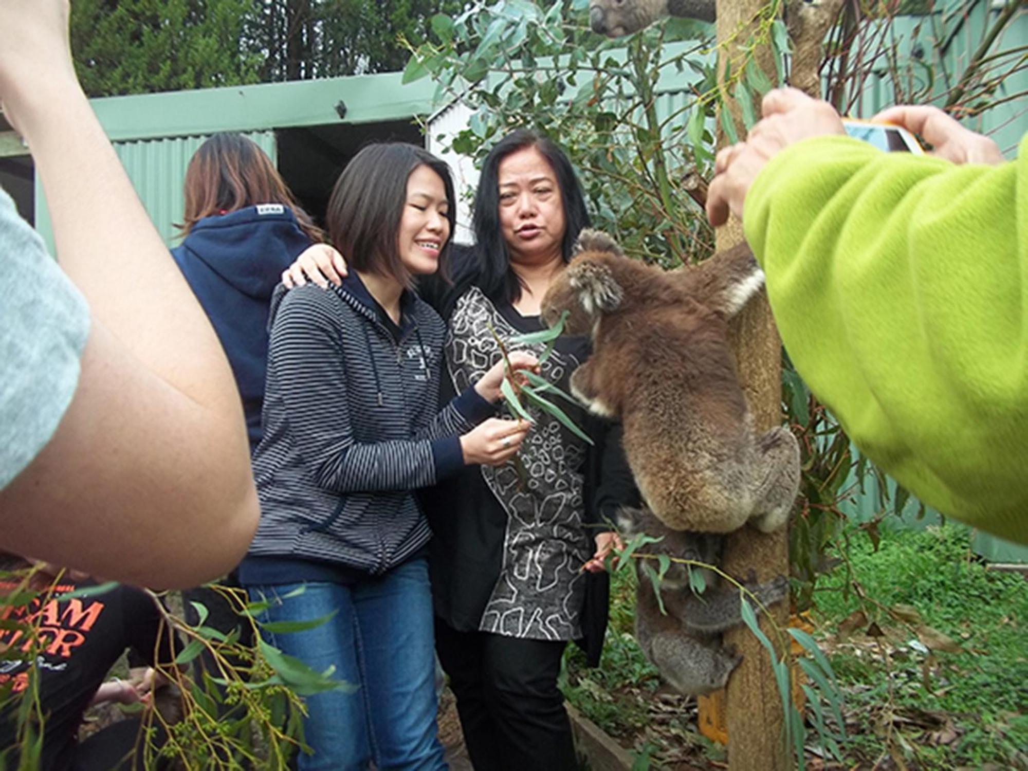Fauna Australia Wildlife Retreat Lavers Hill 외부 사진