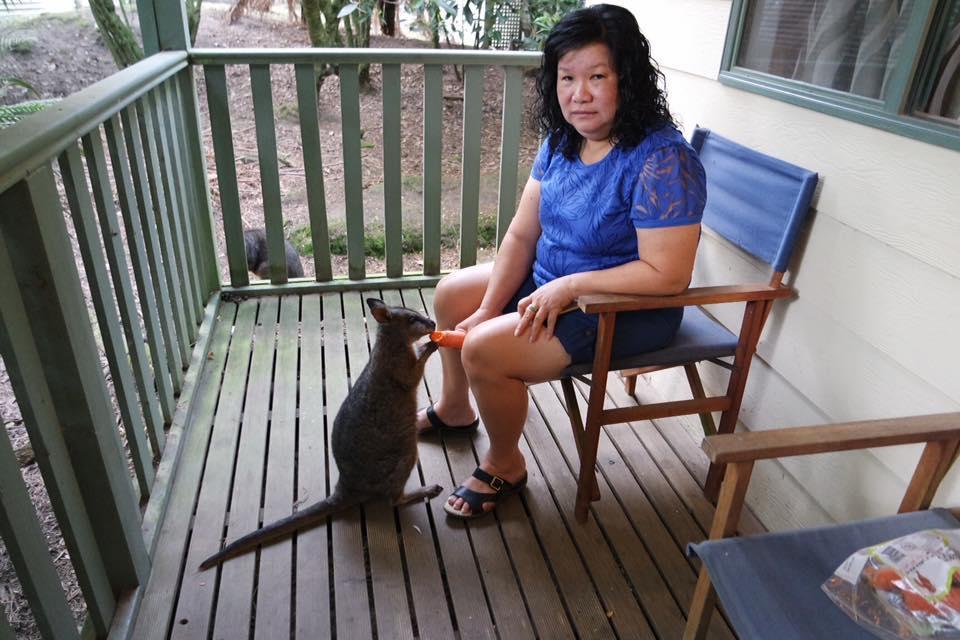 Fauna Australia Wildlife Retreat Lavers Hill 외부 사진