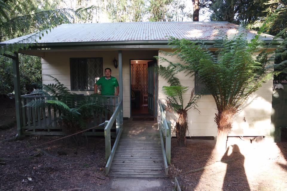 Fauna Australia Wildlife Retreat Lavers Hill 외부 사진