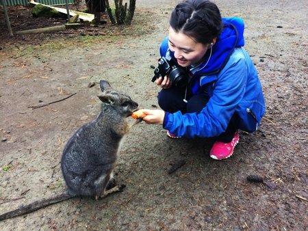 Fauna Australia Wildlife Retreat Lavers Hill 외부 사진