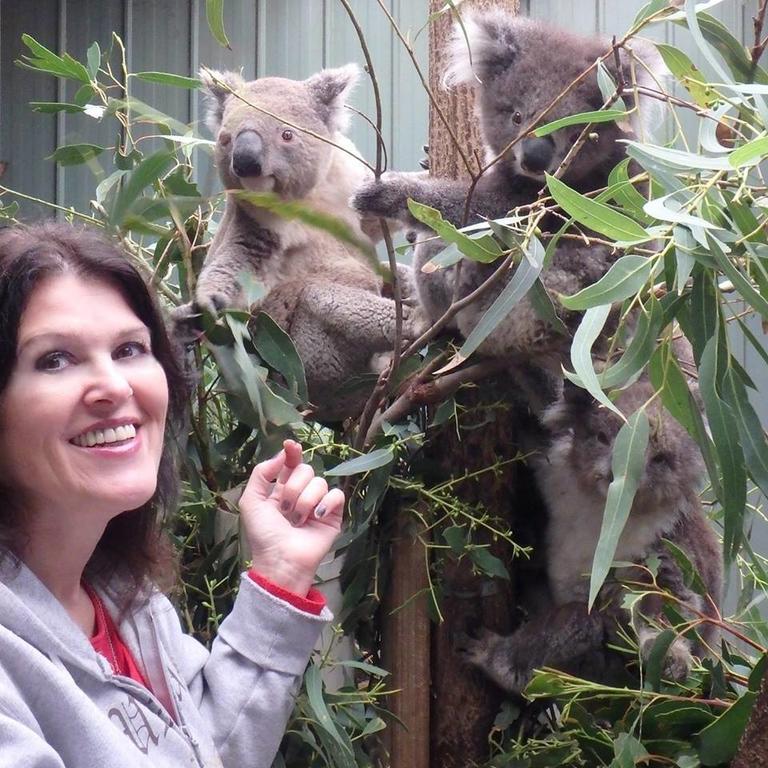 Fauna Australia Wildlife Retreat Lavers Hill 외부 사진