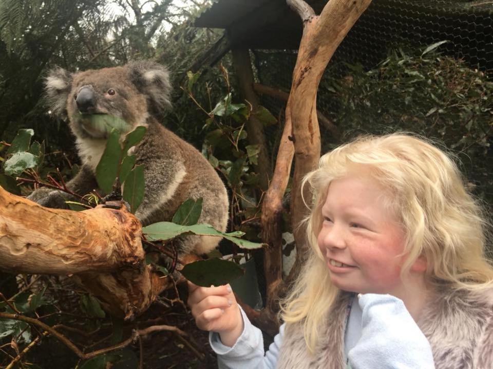 Fauna Australia Wildlife Retreat Lavers Hill 외부 사진